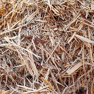 Щепа для арболита оптом в Волгодонске и других различных марок заказать от 16 тонн